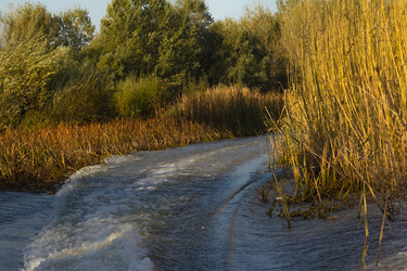 Similar image 10071597