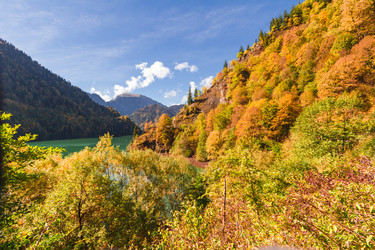 Similar image 10071603