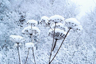 Similar image 10072716