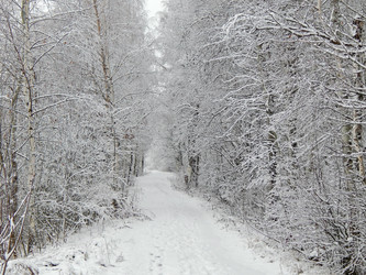 Similar image 10073094