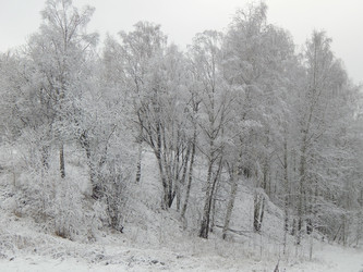 Similar image 10073388