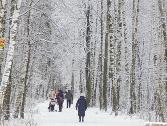 Similar image 10073390