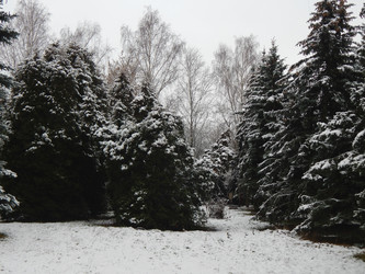 Similar image 10073394