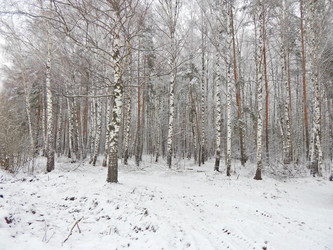 Similar image 10073395