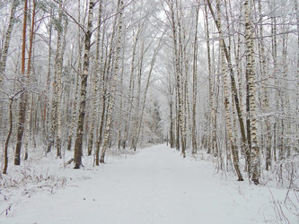 Similar image 10073398