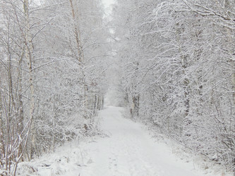 Similar image 10073399