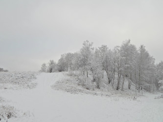 Similar image 10073401