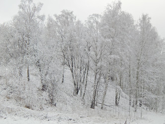 Similar image 10073403