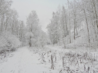 Similar image 10073406