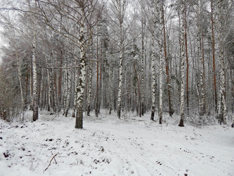 Similar image 10073408