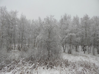 Similar image 10073834