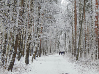 Similar image 10073837