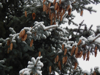 Similar image 10074328