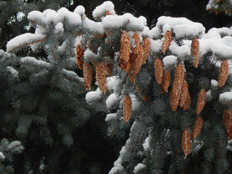 Similar image 10074331