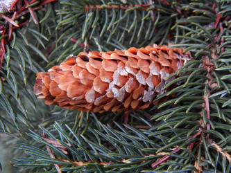 Similar image 10074334