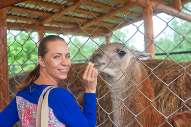 Similar image 10074920