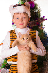 Similar image 10075201