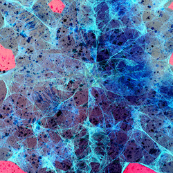 Similar image 10075501