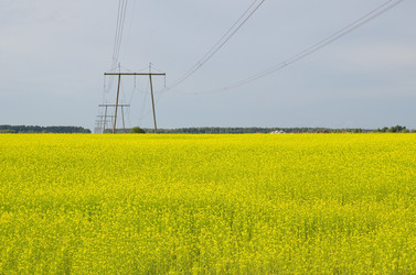 Similar image 10076923