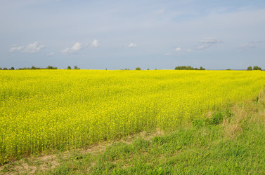 Similar image 10076925