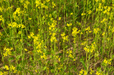 Similar image 10076927