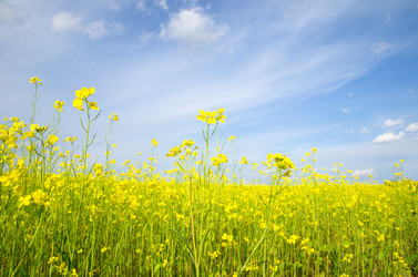 Similar image 10076931