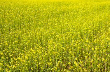 Similar image 10076935