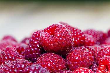 Similar image 10078872