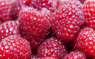 Similar image 10078945