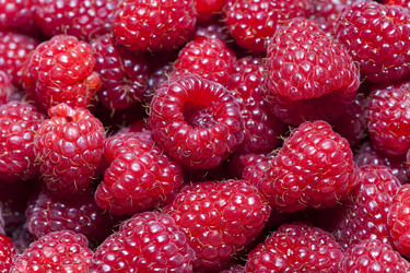 Similar image 10078950