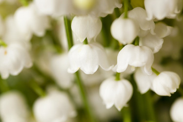 Similar image 10078974