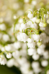 Similar image 10079135