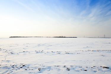 Similar image 10079611