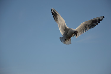 Similar image 10081610