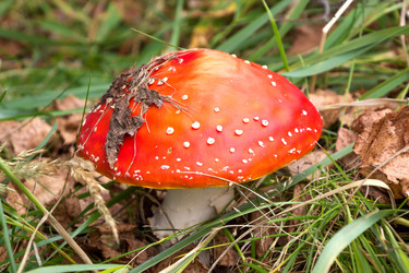 Similar image 10082794