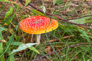 Similar image 10082796