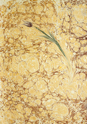 Similar image 10092186