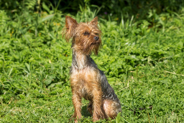 Similar image 10100148