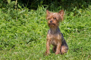 Similar image 10100151