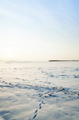 Similar image 10100159