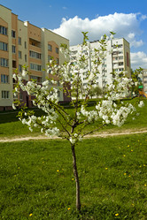 Similar image 10100225