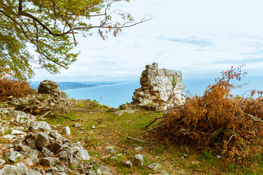 Similar image 10100528