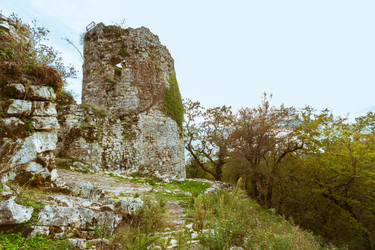 Similar image 10100530