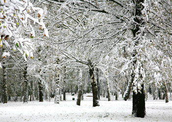 Similar image 10139873