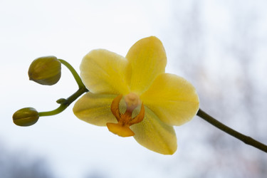 Similar image 10139877