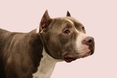 Similar image 10140224