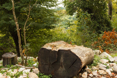 Similar image 10140381