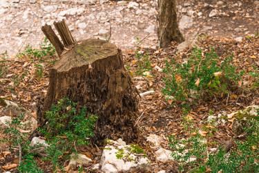 Similar image 10140386