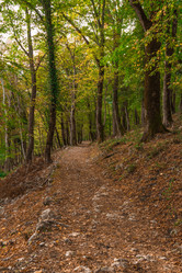 Similar image 10140388