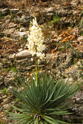 Similar image 10140448